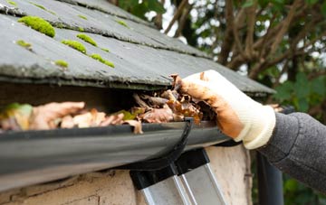 gutter cleaning Muirhouse