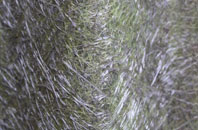 Muirhouse fibreglass roof work